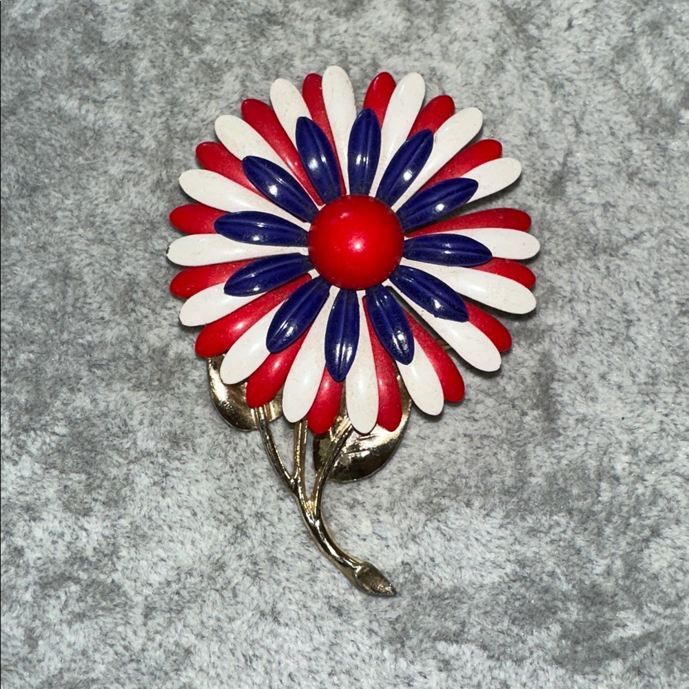 🧡 FLASH SALE 40% OFF & FREE SHIPPING

Red, White, and Blue Enameled Brooch 🧡